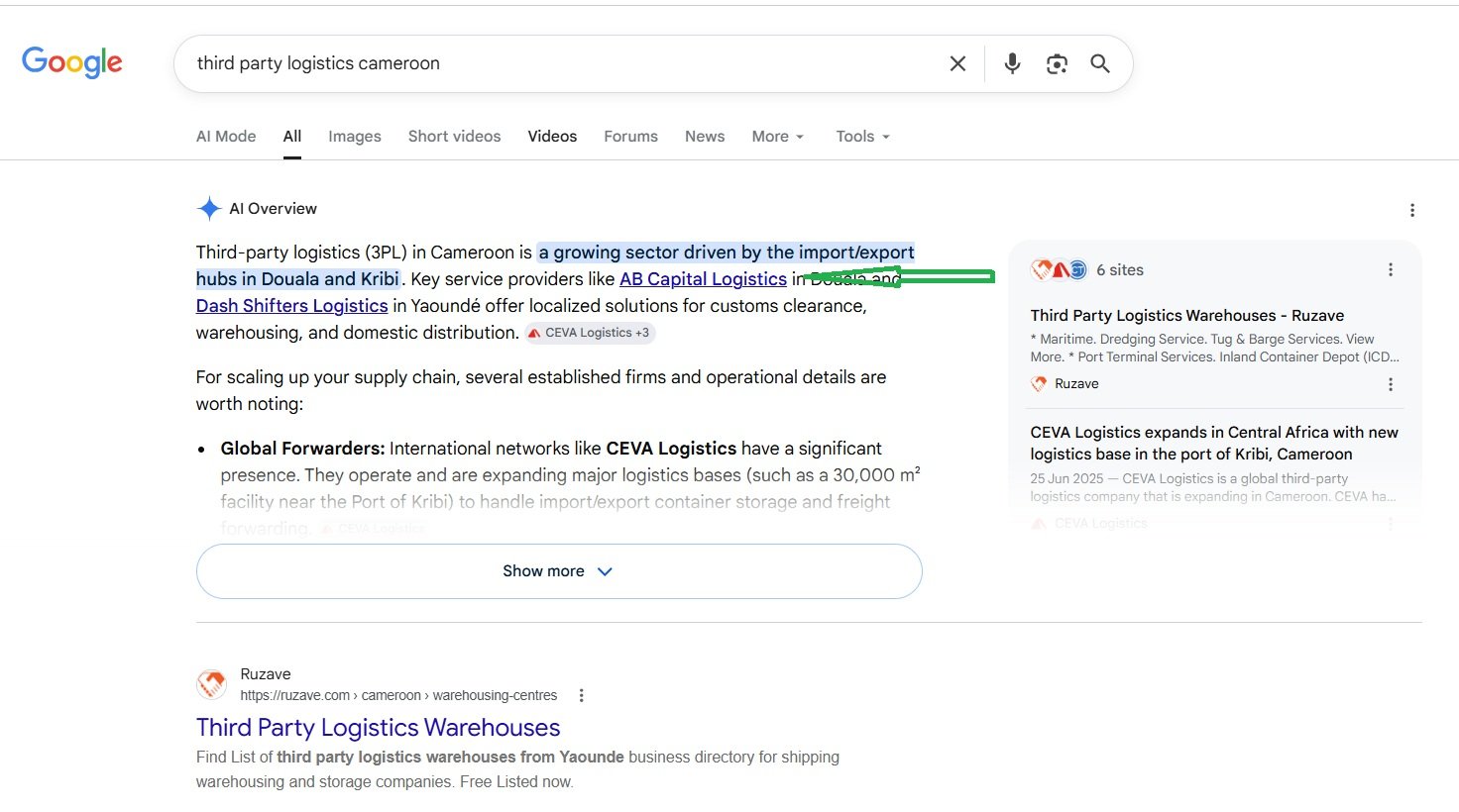 Google SEO Ranking Results