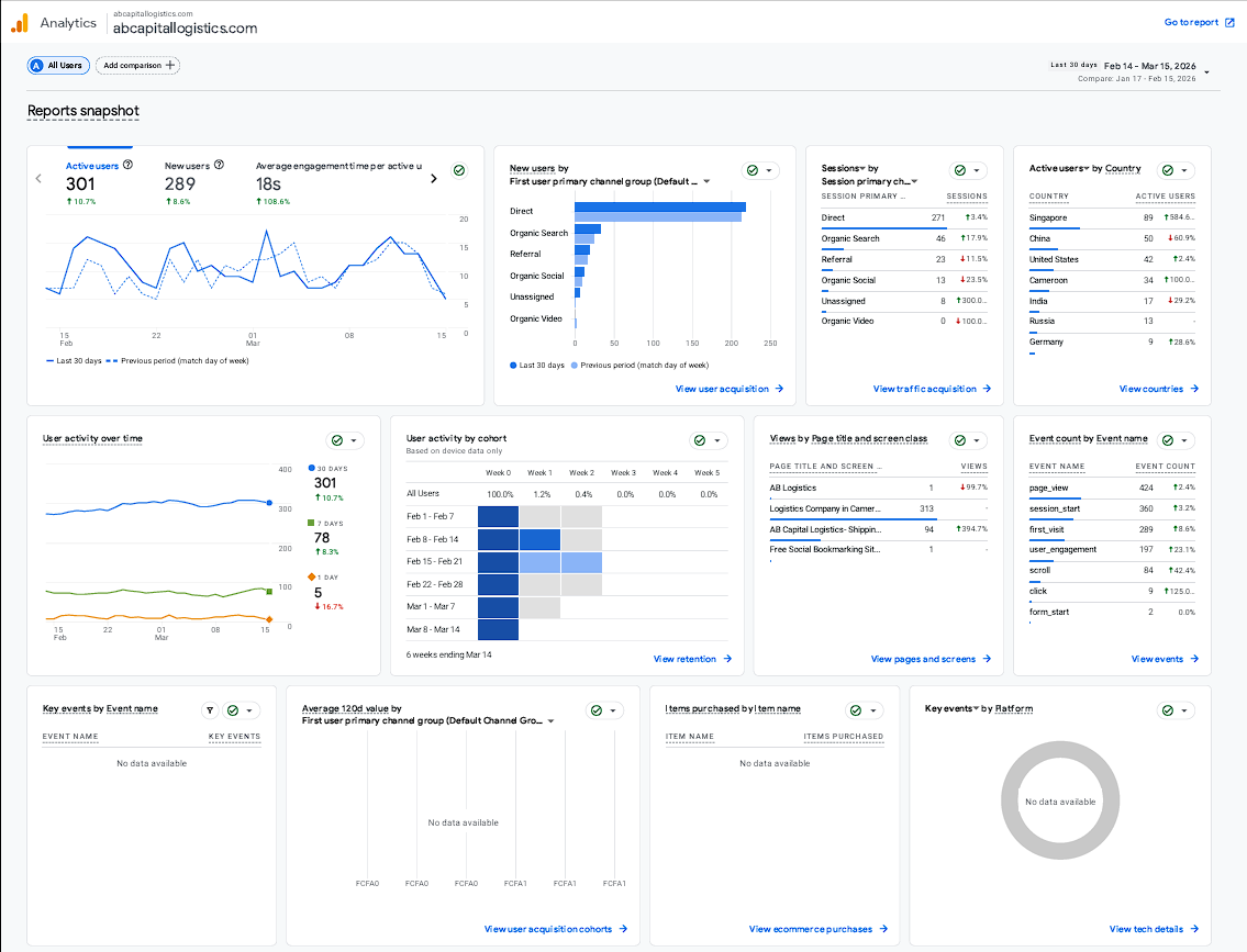 Google AI Overview Result