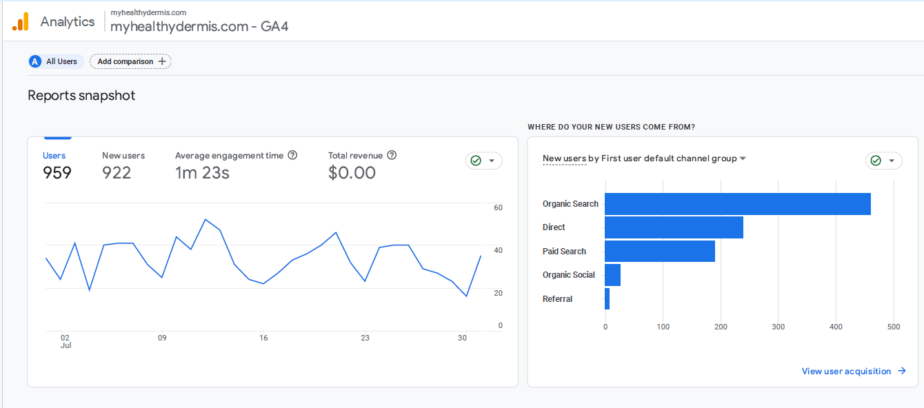 Google SEO Ranking Results