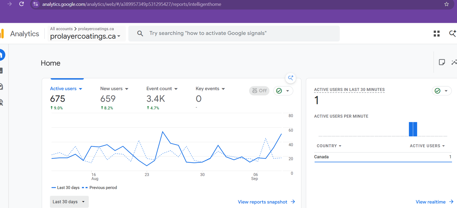 Google SEO Ranking Results