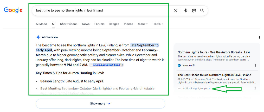 Google AI Overview Result