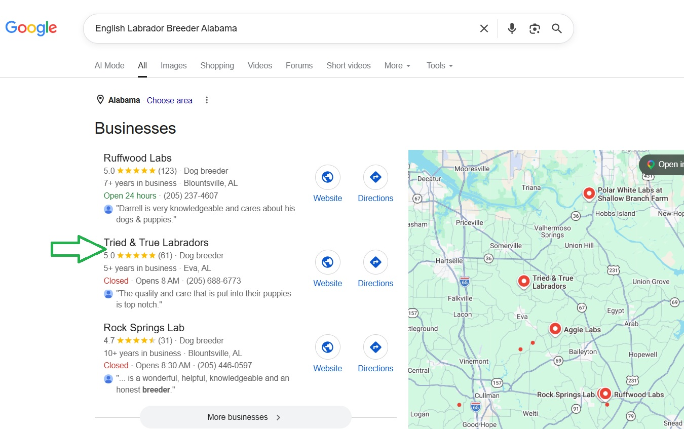 Google SEO Ranking Results