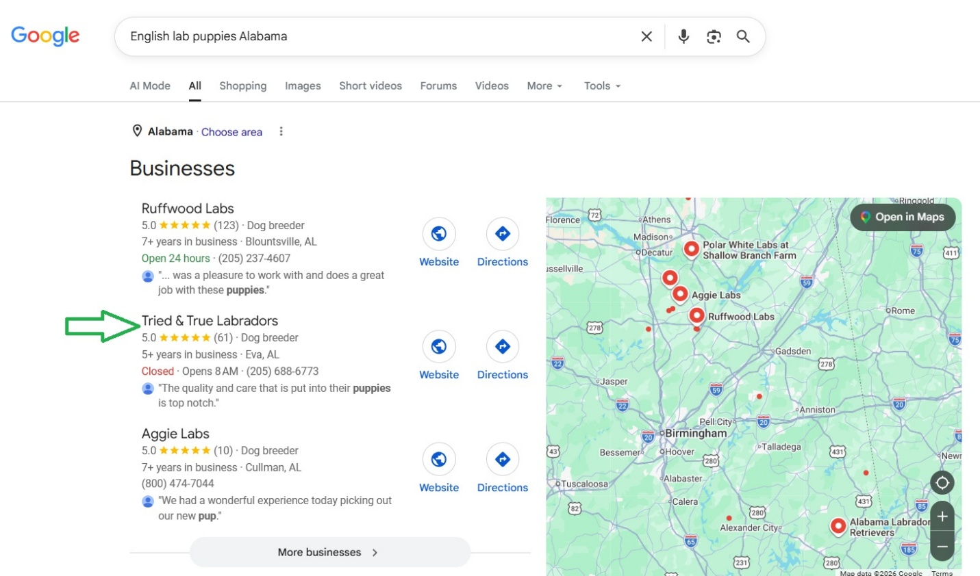 Google SEO Ranking Results